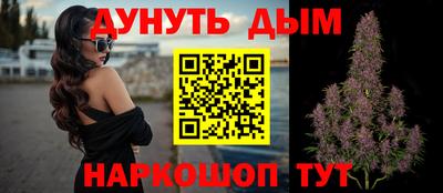 стаф Чебоксары